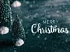 Merry Christmas