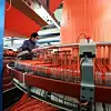 workers are busy on a packaging product line in a factory, LUANNAN COUNTY, Hebei Province, China
