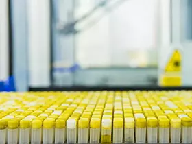 Astrazeneca