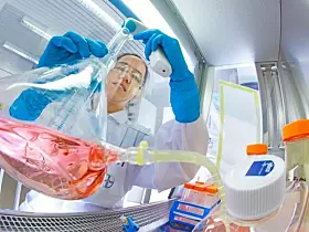 Bayer Labor