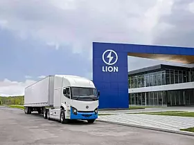 Lion 8