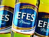 Efes Group