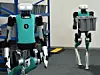 Digit von Agility Robotics ist 1,75 m groß, 64 kg schwer, hebt Lasten bis 16 kg.