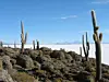 Salar de Uyuni Lithiumsalzgewinnung